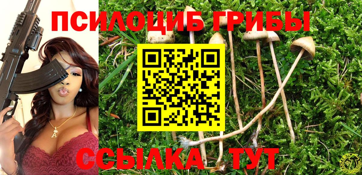 Галлюциногенные грибы мицелий Армавир